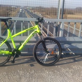 User avatar for Darko Golić