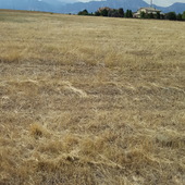 User avatar for Claire Bronstein