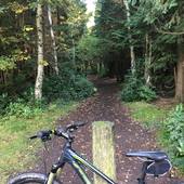 User avatar for Alice Semple