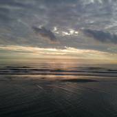 User avatar for Eliana De Santo