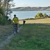 User avatar for Luca Feti