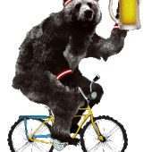 User avatar for Marco Mori