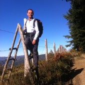 User avatar for Federico Dalla Volta