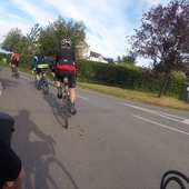 User avatar for Mark Ardern