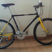 User avatar for Paolo Mangherini