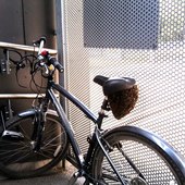 User avatar for Dejana Jelić Zelenbaba