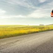 User avatar for Antonio Cubello