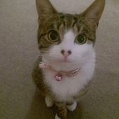 User avatar for Angela Druggan