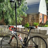 User avatar for Daniele Carbonara