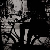 User avatar for Monia Canavari