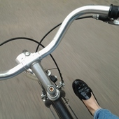 User avatar for Greta Savoldelli