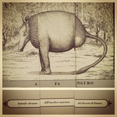 User avatar for Francesca Olivini