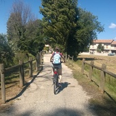 User avatar for Marilena Mastrovincenzo