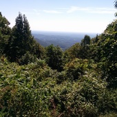 User avatar for Rusty Tchernis