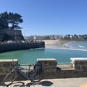 User avatar for Marisa Hamon