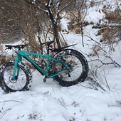 User avatar for José Pioquinto