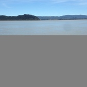 User avatar for John Ellington