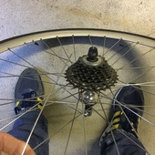 User avatar for Diego Brusa