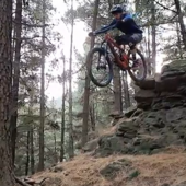 User avatar for Jordan Brizzell