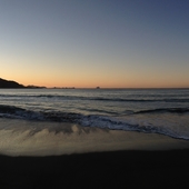 User avatar for Marty Parker