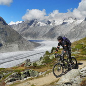 User avatar for Pasquale Arpone