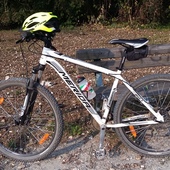 User avatar for Franco Giraudi