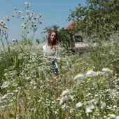 User avatar for Chiara Anselmo