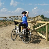 User avatar for Daniela Paraboschi