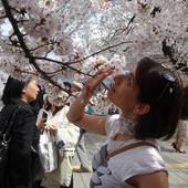 User avatar for Francesca Pinto