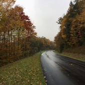 User avatar for Ping Hao