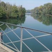 User avatar for Simona Biscaldi