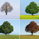 User avatar for Andrea Pirani