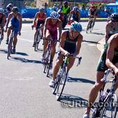 User avatar for Peter Viles