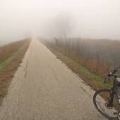 User avatar for Claudio Antonini