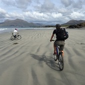 User avatar for Franco Bernazzoli