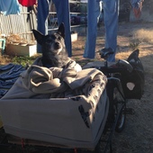 User avatar for Nick Kelso