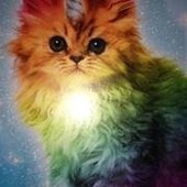 User avatar for Kathleen Torchia