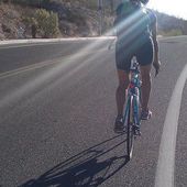 User avatar for Lane Santa Cruz