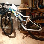 User avatar for Cinzia Tortolani