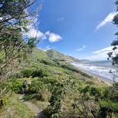 User avatar for matt tomkies