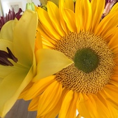 User avatar for Natalie Rosbottom