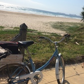 User avatar for Claudette Merrick