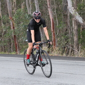 User avatar for Lauren Hooper