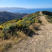 User avatar for Robyn Wong