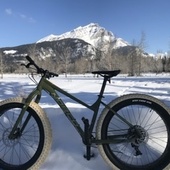 User avatar for Bill Brander