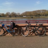 User avatar for Alfie Connell