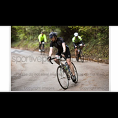 User avatar for Paul Boyle