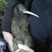 User avatar for Danny Robinson