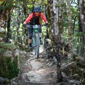 User avatar for Meagan Robertson