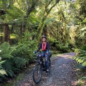 User avatar for Judy Van Rossem